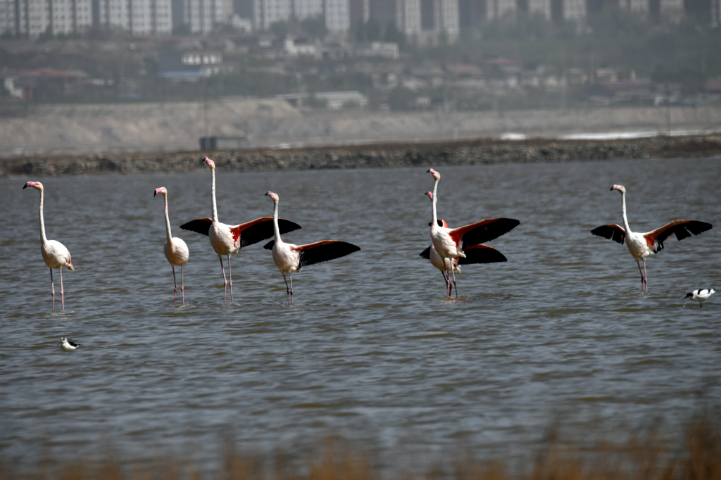 DSC_2610.jpg