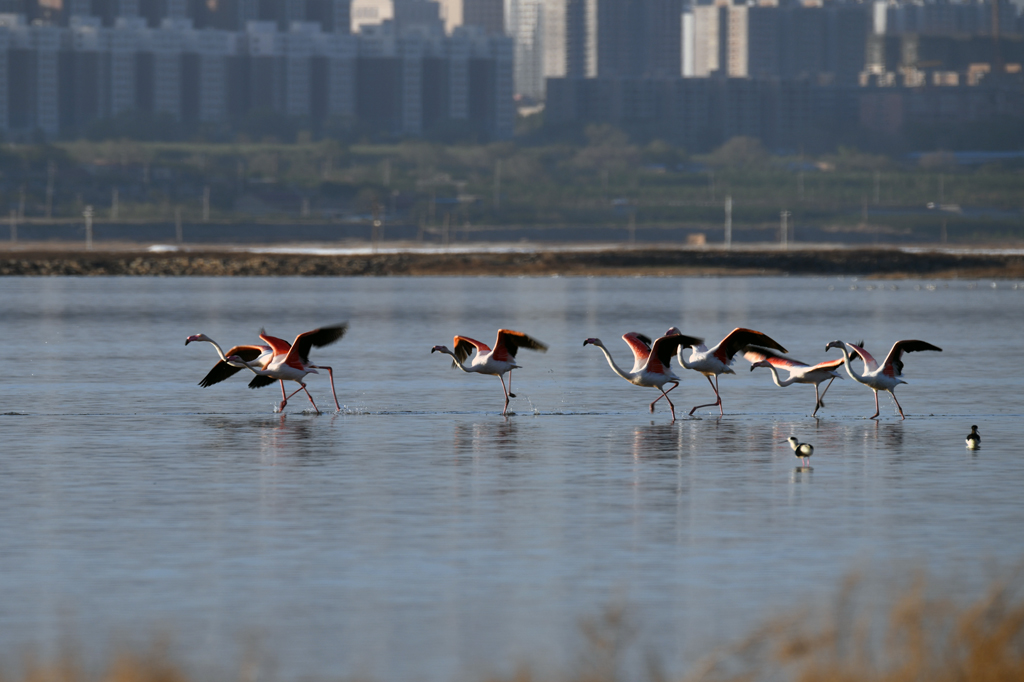 DSC_3211.jpg