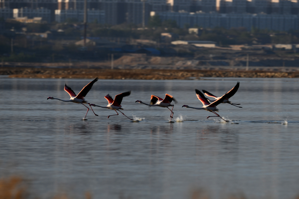 DSC_3228.jpg