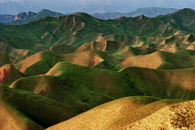 CRW_8262.jpg