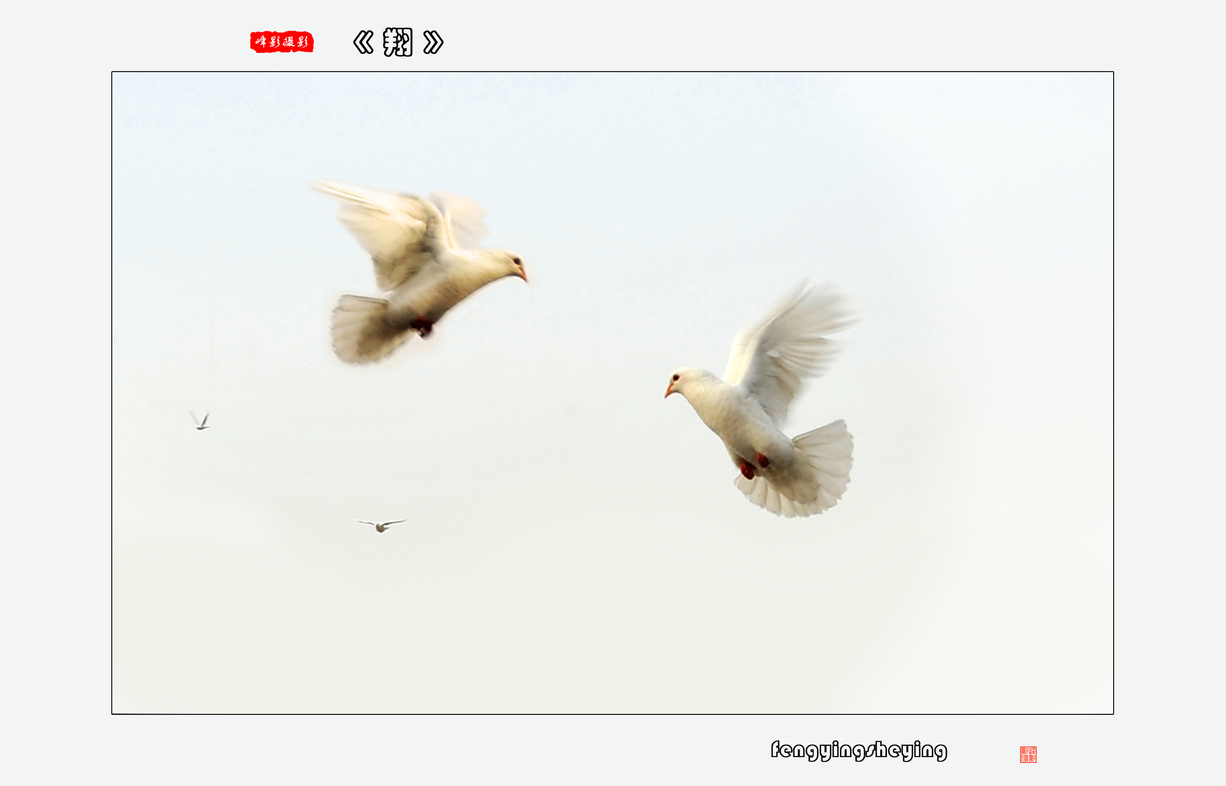 DSC_9766.JPG