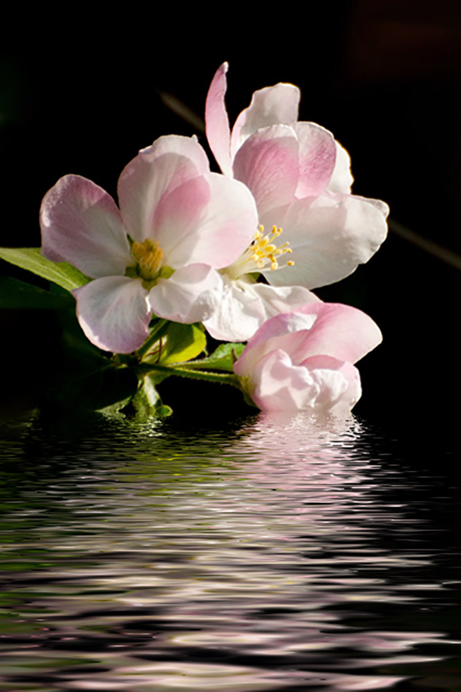 DSC_7933--1.jpg