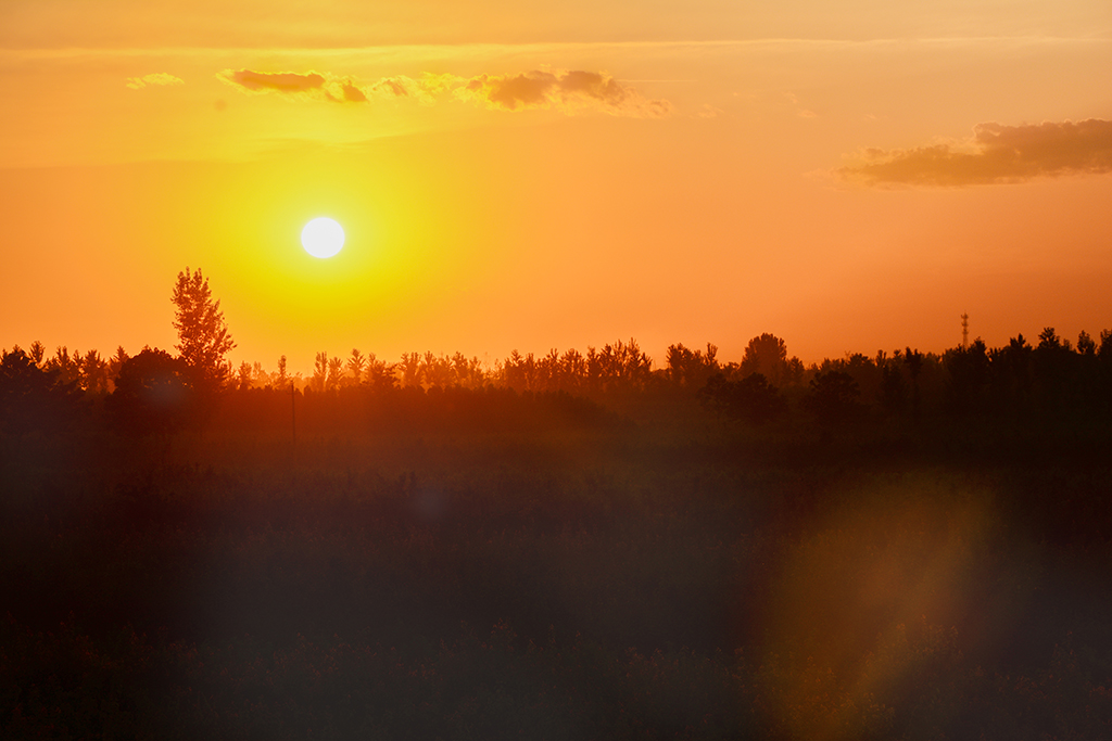DSC_4433.jpg