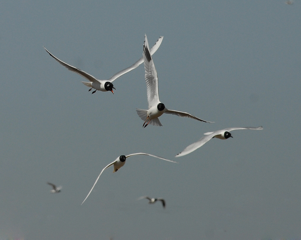 111DSC_0109.jpg