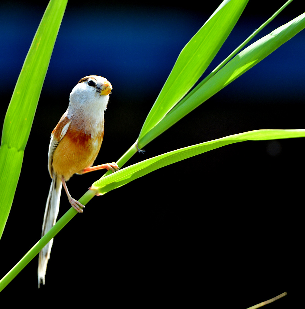 DSC_7979.jpg