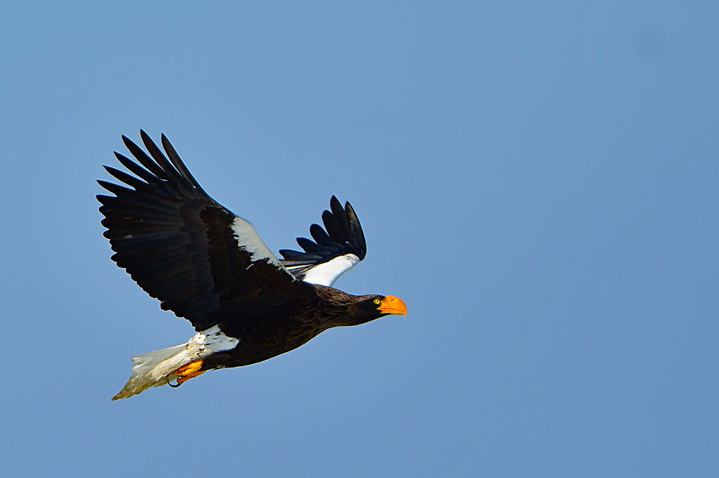 1DSC_4655.jpg