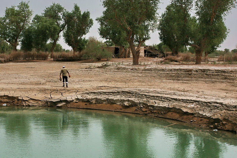 ޲˴կ6.jpg