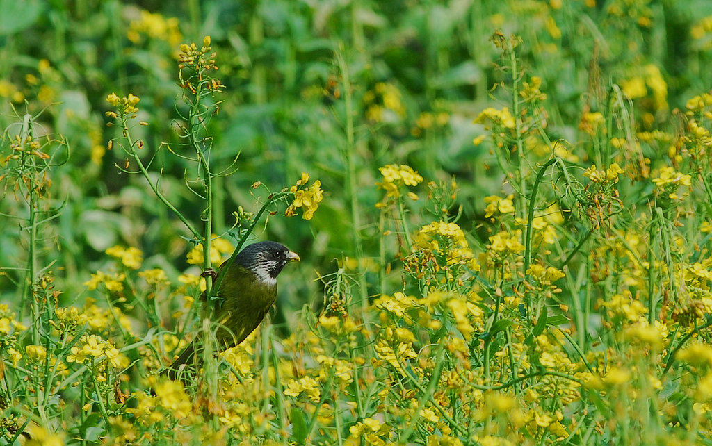 52ȸDSC_0085.jpg