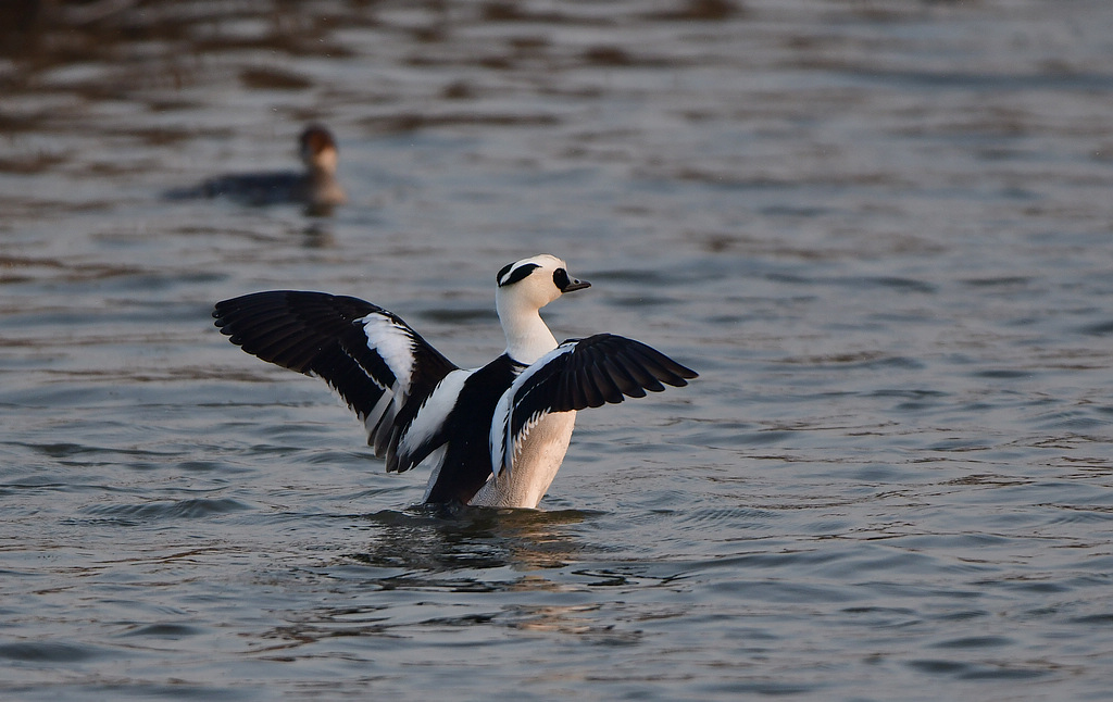DSC_4318.jpg