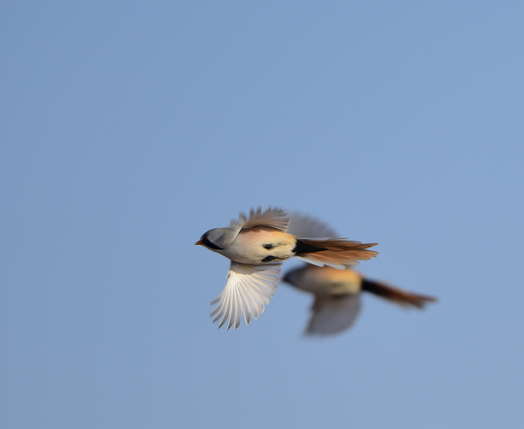 DSC_2624.jpg