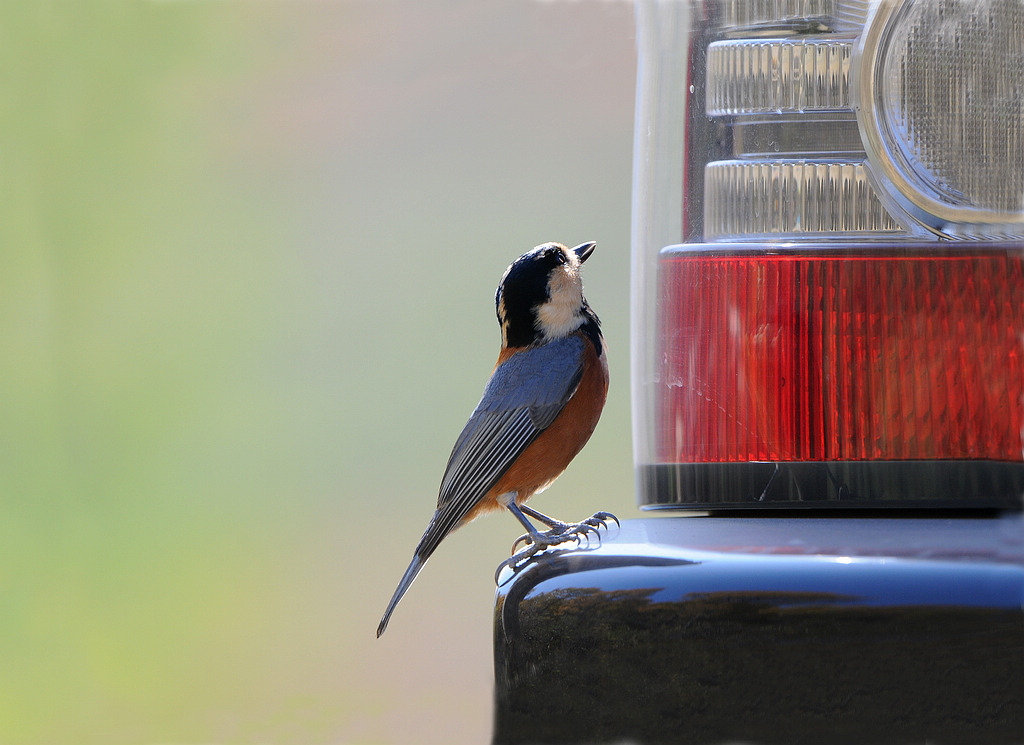 DSC_0359  4.jpg