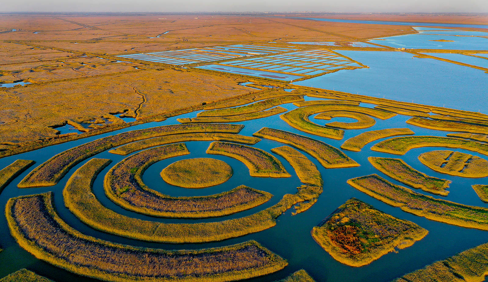 1DJI_0145_.jpg