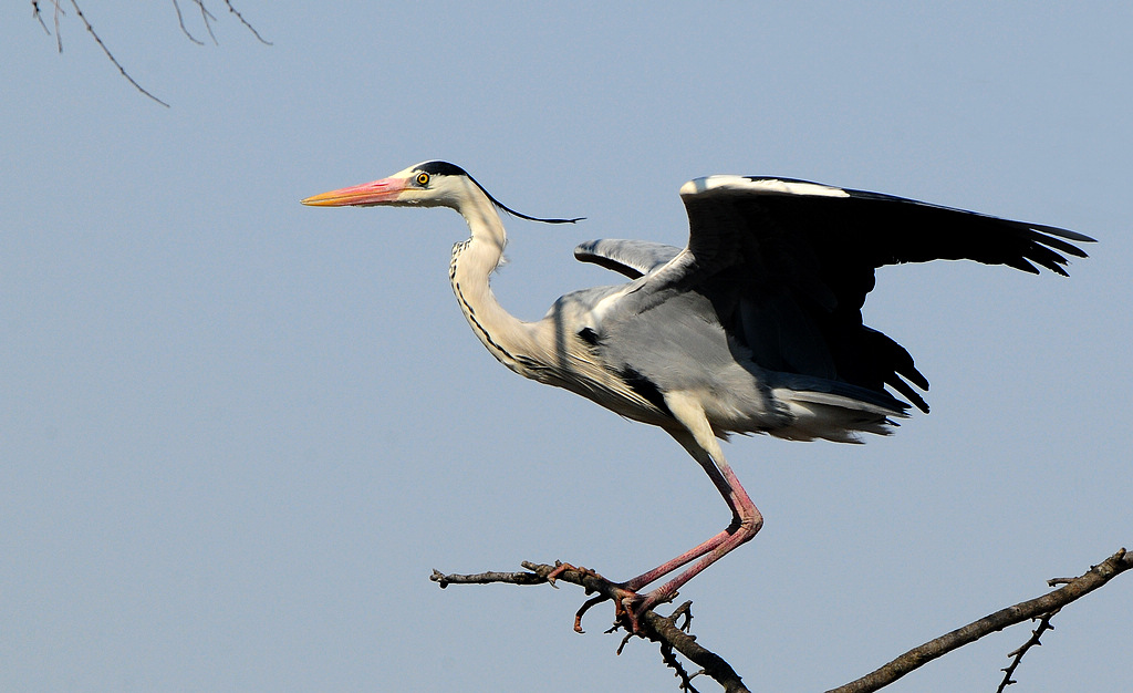DSC_0601  33.jpg