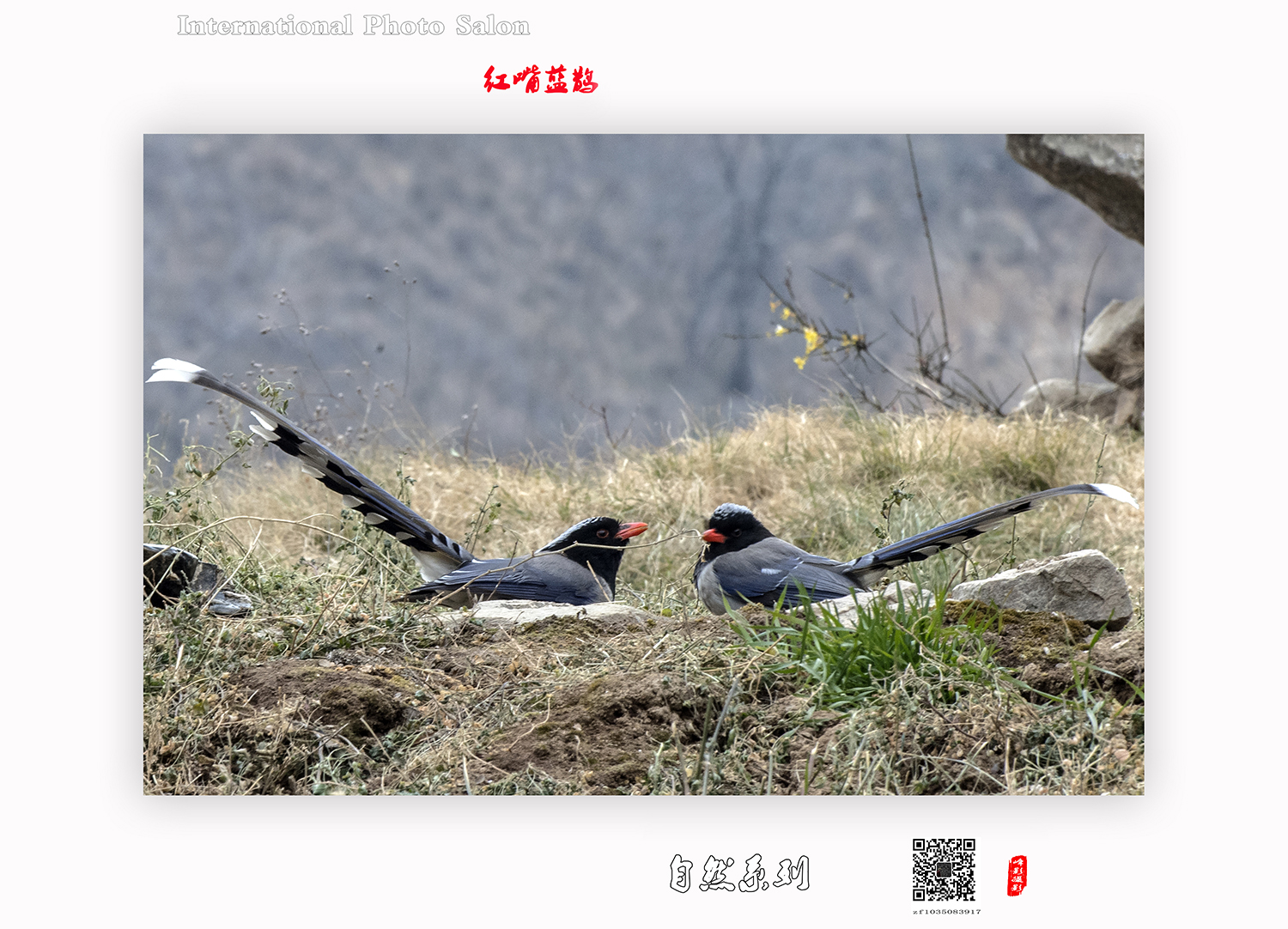 DSC_7837.jpg