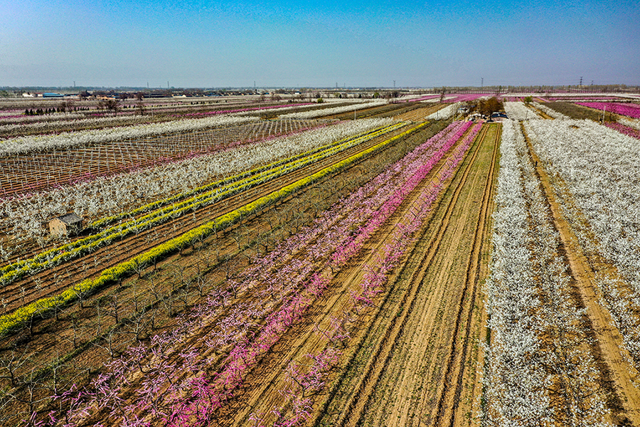 DJI_0330.jpg