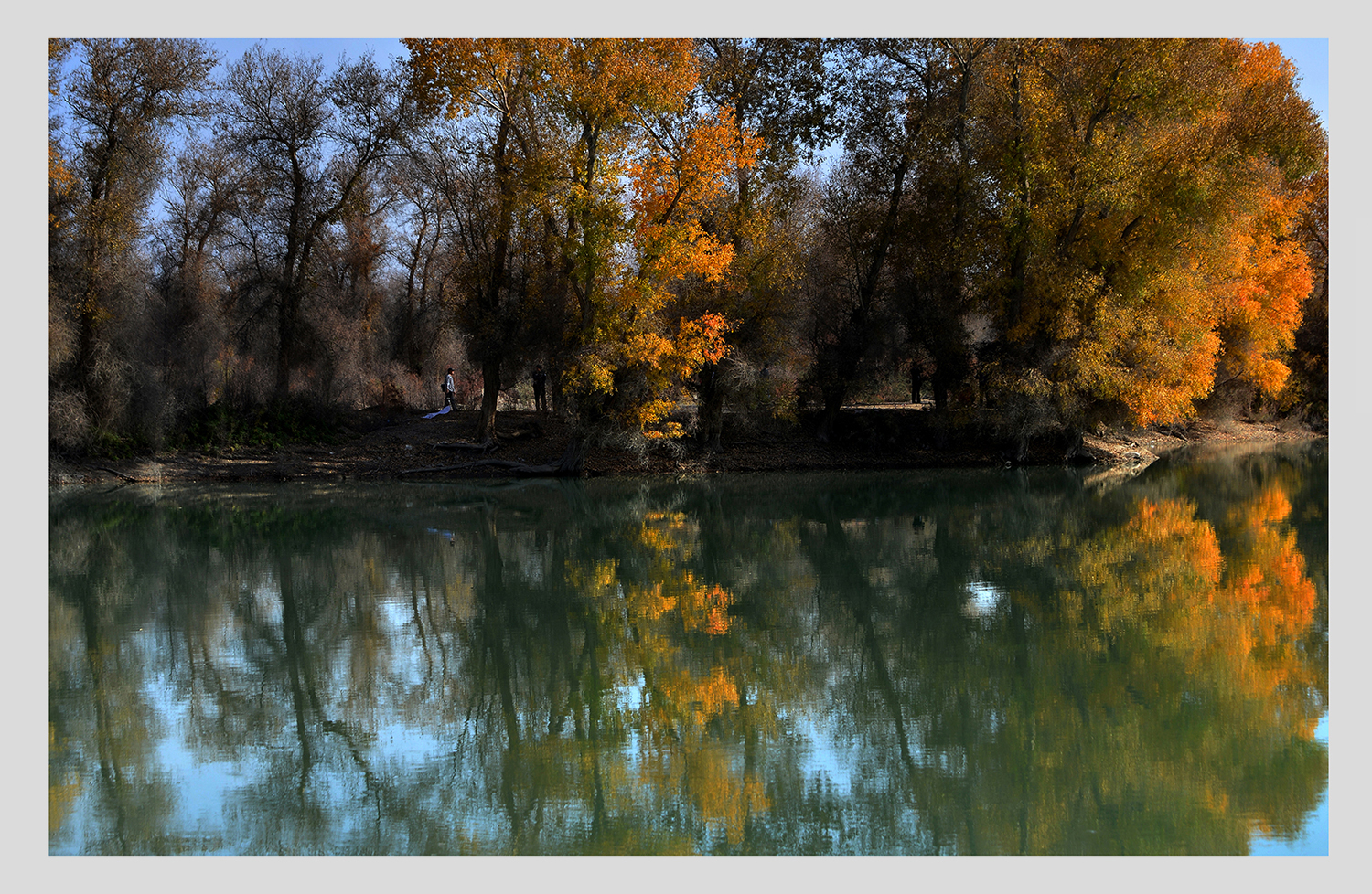 DSC_3764.JPG