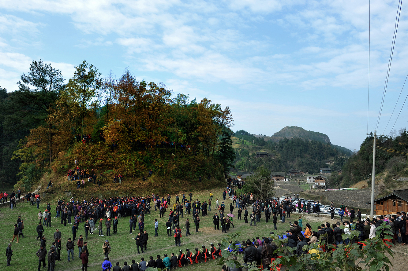 DSC_7988.JPG
