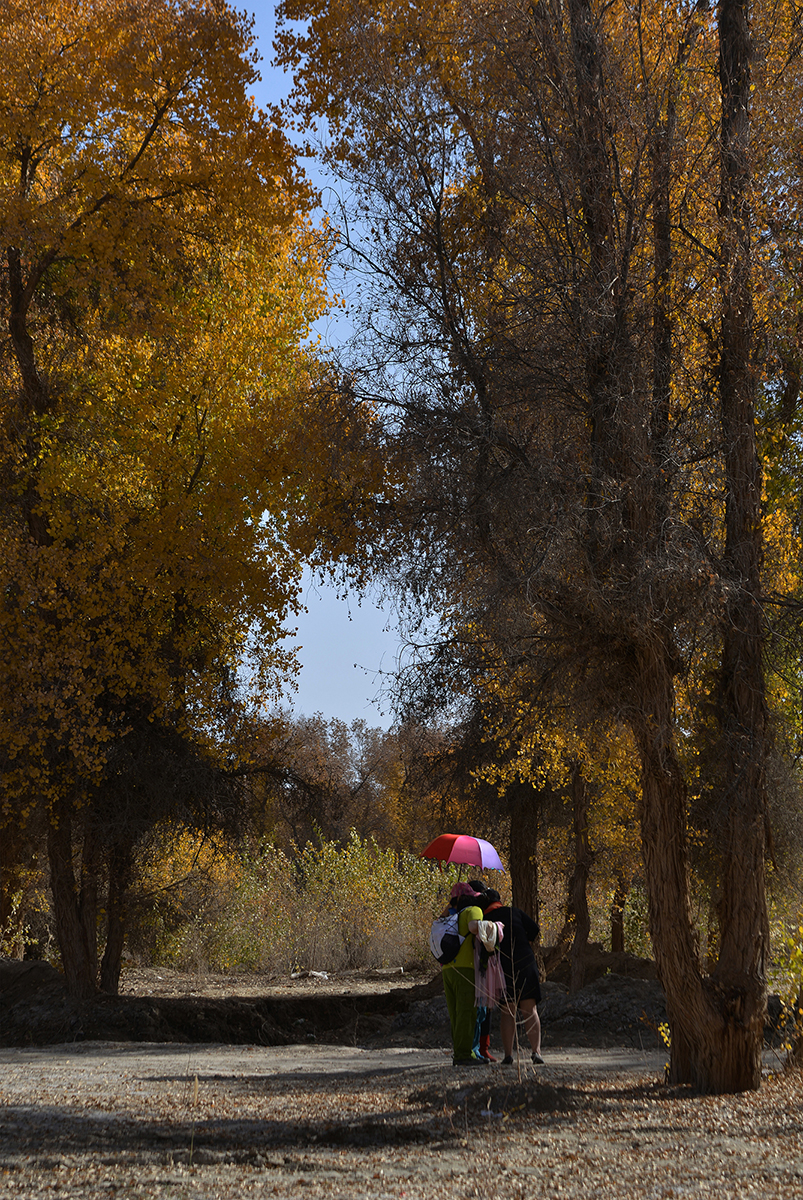 DSC_3693.JPG