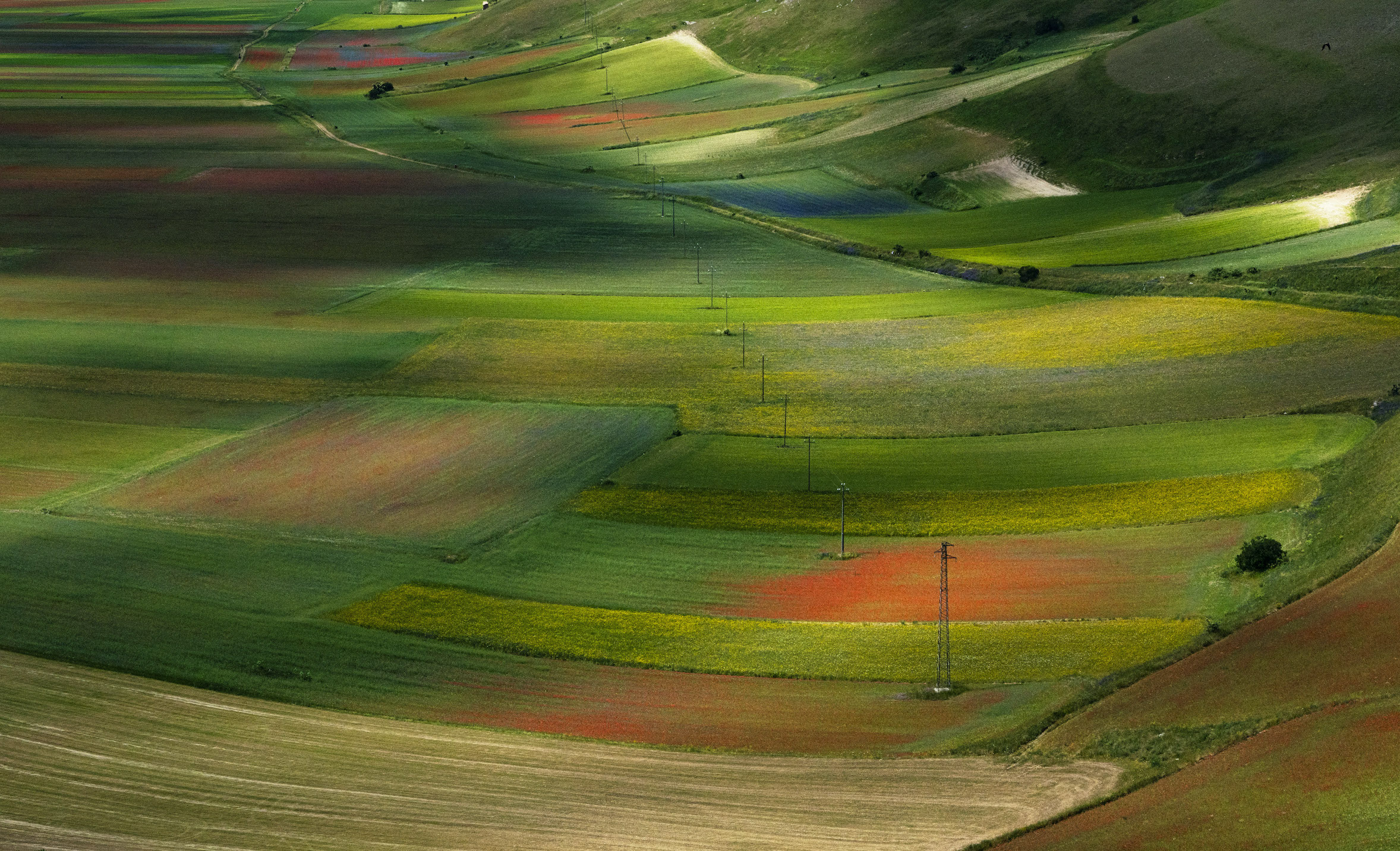 Castelluccio 3 - Italyĸ.jpg