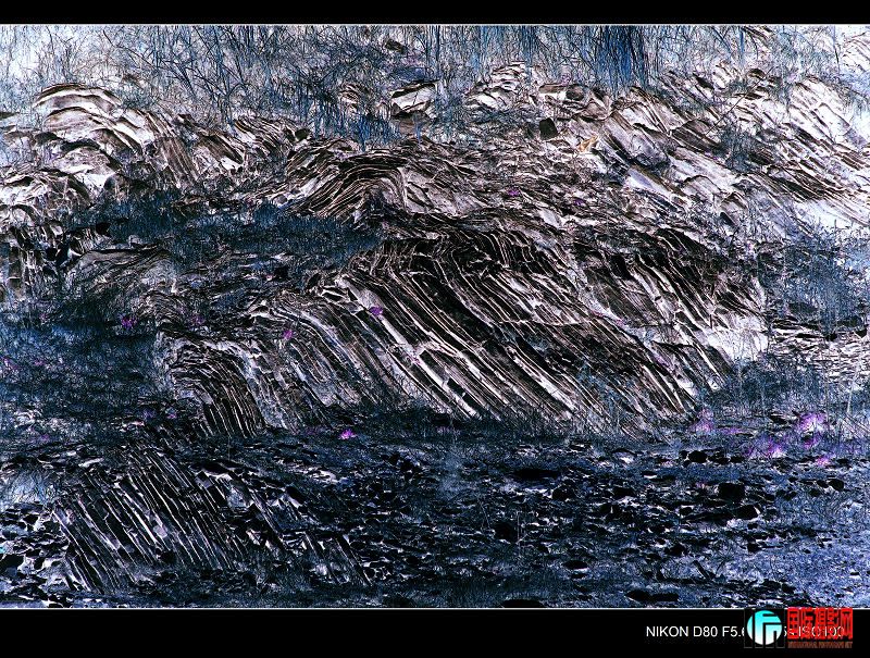 DSC_0084.jpg