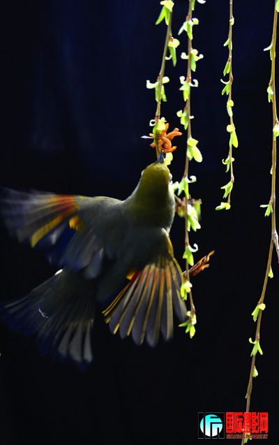 20090323_a100eefb6ea22649f6e8vK6f6uTpO7PC.jpg