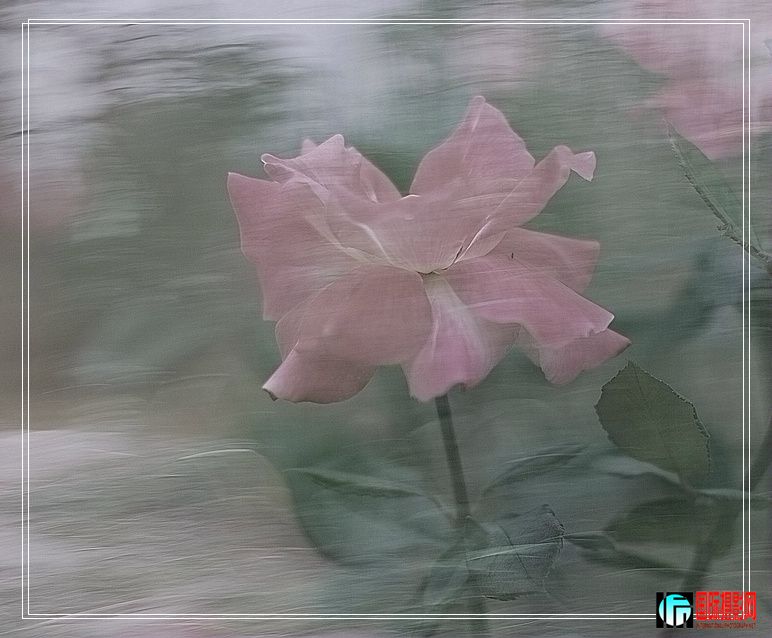 DSC_0018s.jpg