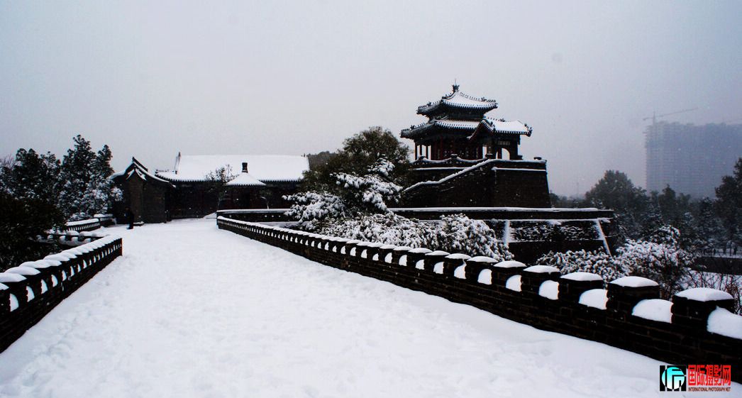 DSC-09.jpg