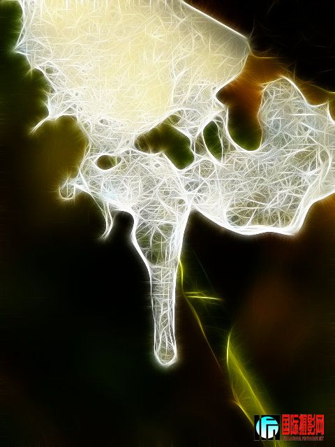 006.jpg