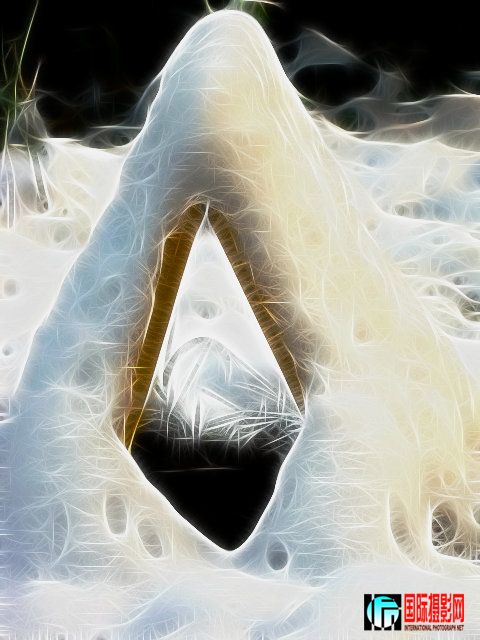 001.jpg