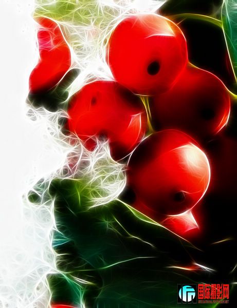 DSCN3129.jpg