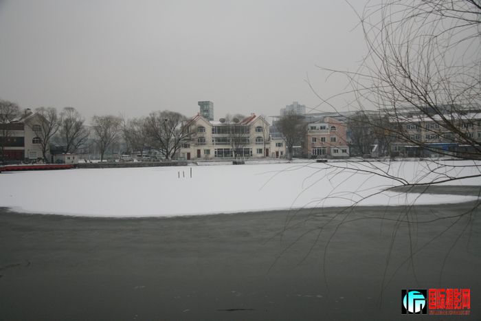 IMG_6238.jpg