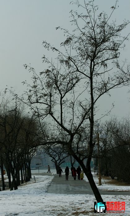 IMG_3375.jpg