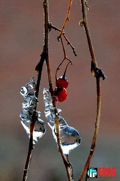 DSC_0138.jpg