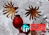 11012311308bec0f6ff1d09f52.jpg