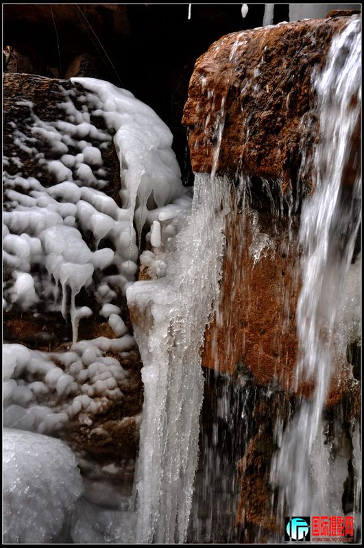 DSC_0214.jpg