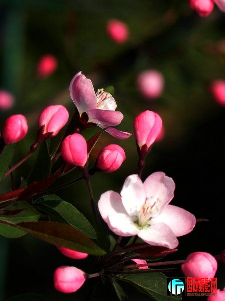 DSCN5273.jpg