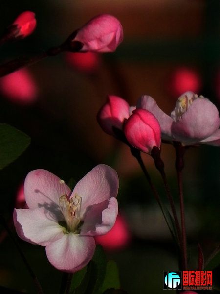DSCN5280.jpg