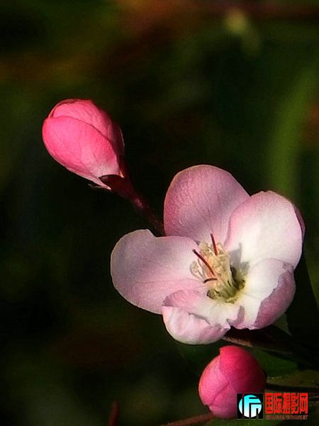 DSCN5283.jpg