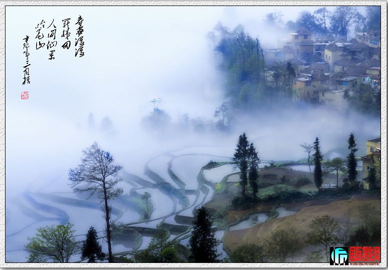 DSC_4166m2p3ӡx.jpg