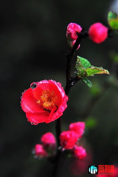 DSC_0031.JPG
