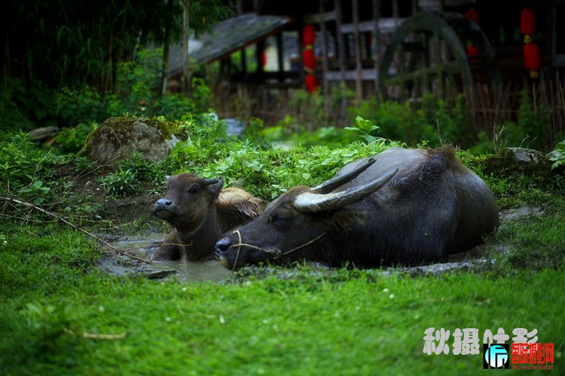 ũЪ ����.jpg