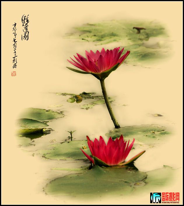 DSC_5549yinmx.jpg
