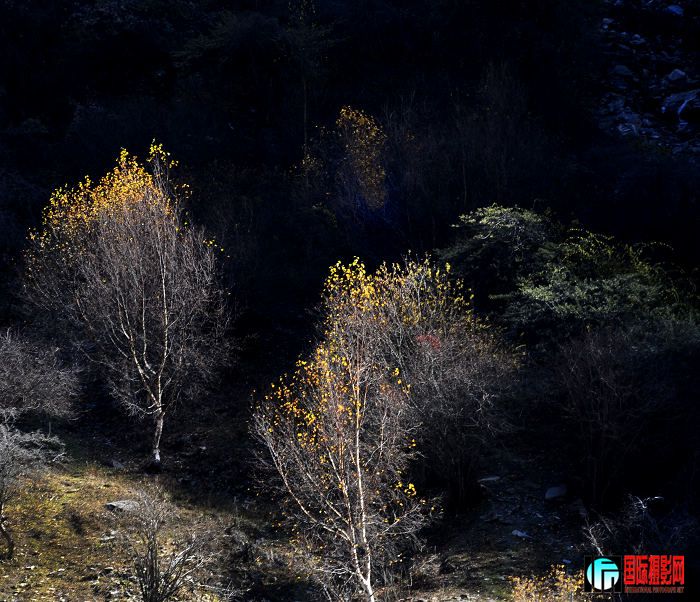 DSC_3757M2mx.jpg
