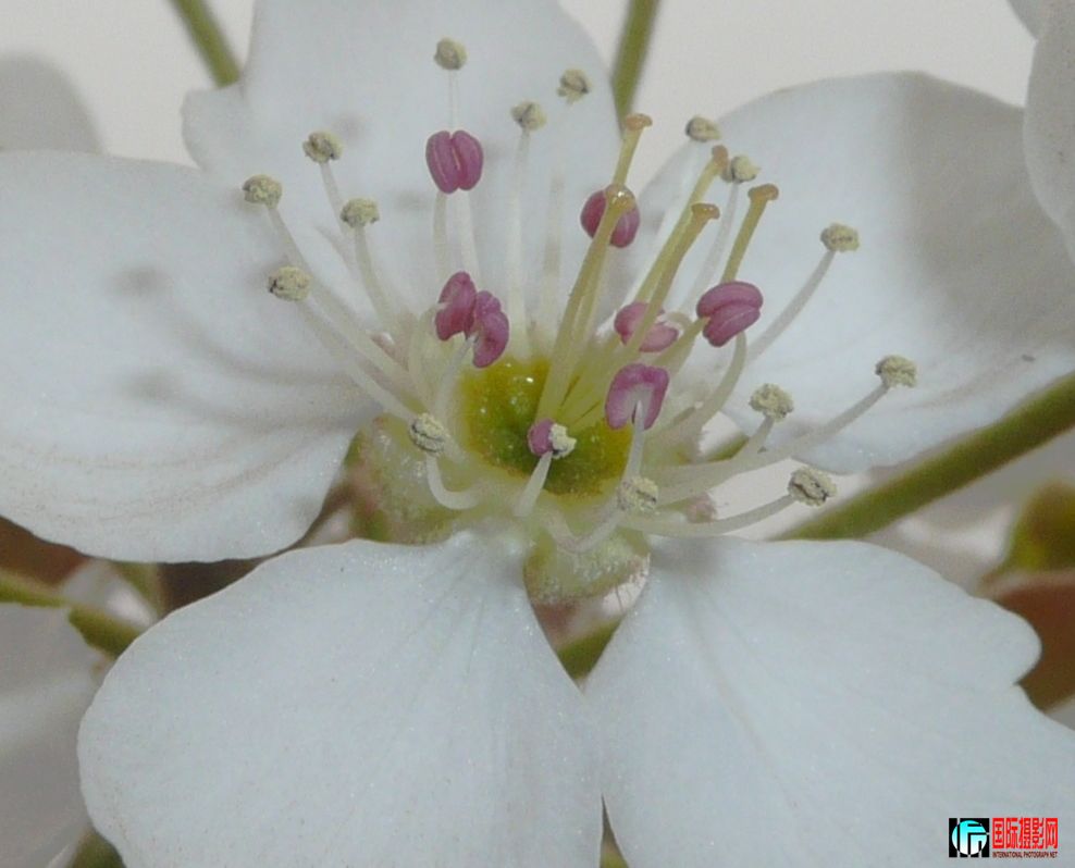 P1110437.JPG