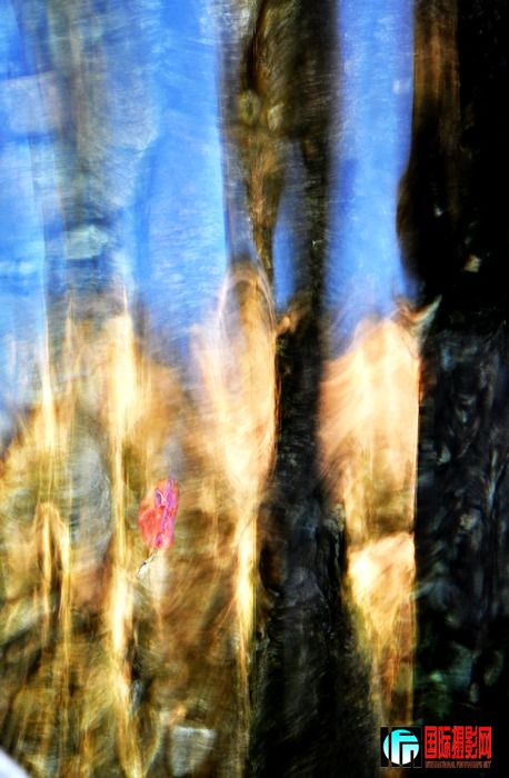 DSC_0117.JPG