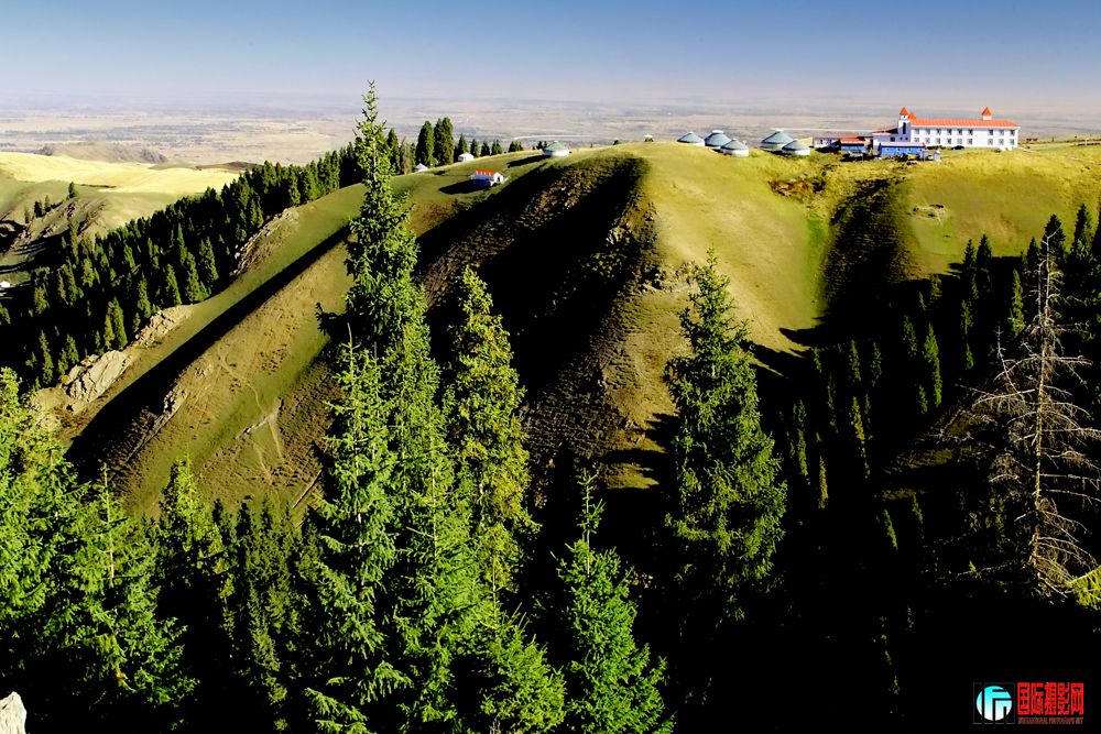 0 208������.jpg