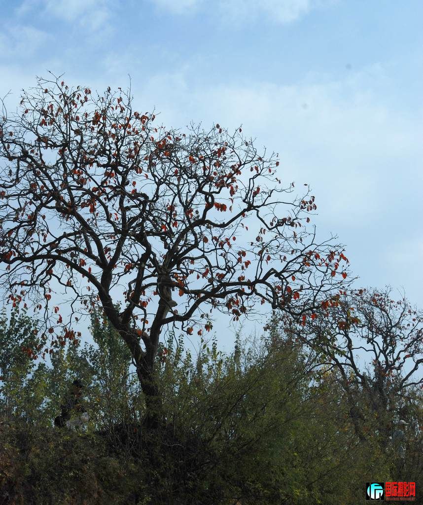 DSC_0276.jpg