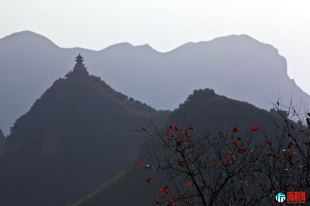 _MG_0537.jpg