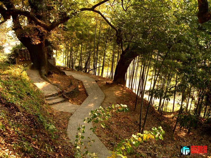 ������Ƭ 022.jpg