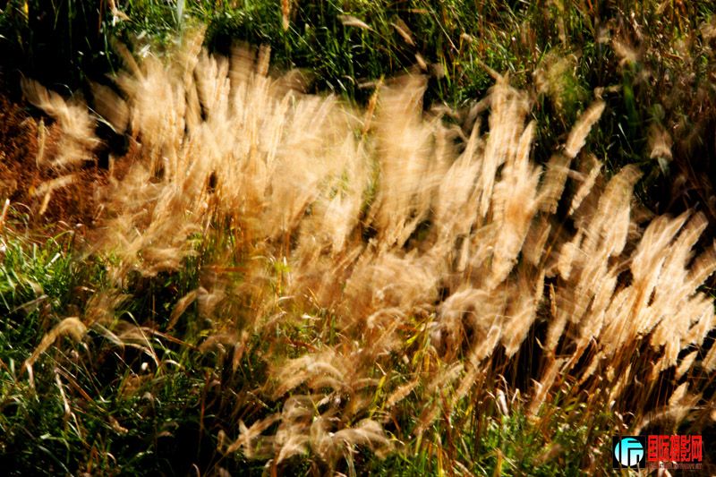㽱ҡڡ¶.jpg